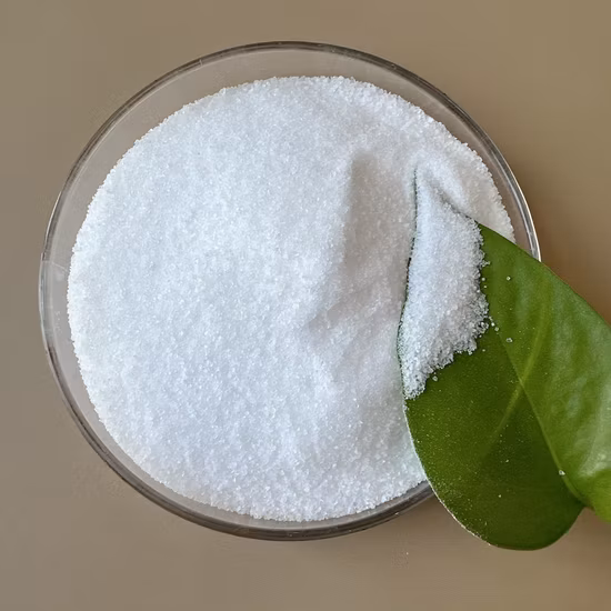 유정 굴착용 응집제/음이온성 폴리아크릴아미드